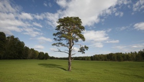 La droite et la défense de l'ordre naturel